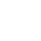 Pro icon